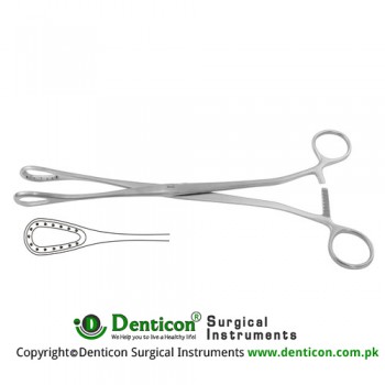 Saenger Placenta and Ovum Forcep Straight Stainless Steel, 27.5 cm - 10 3/4"